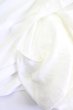 画像6: FUGA / TOPS//シワ加工Tシャツ  白 T-24-08-08-003-FU-to-SZ-ZT013 (6)