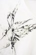 画像3: TORNADO MART / バタフライプリントVネックTシャツ M ホワイト T-24-09-11-004-TO-ts-YM-ZT (3)