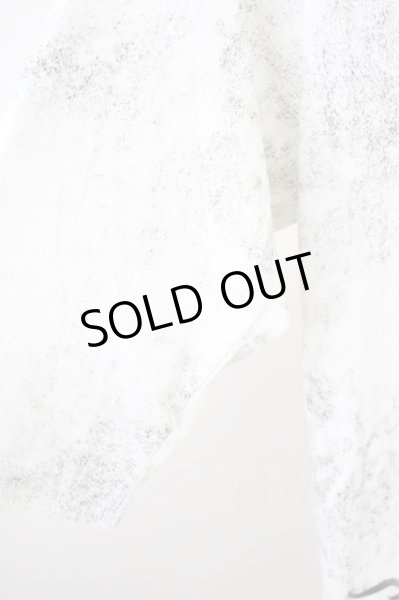 画像4: TORNADO MART / トライバル刺繍アニマルジャガードTシャツ  ホワイト T-24-09-11-009-TO-ts-YM-ZT (4)