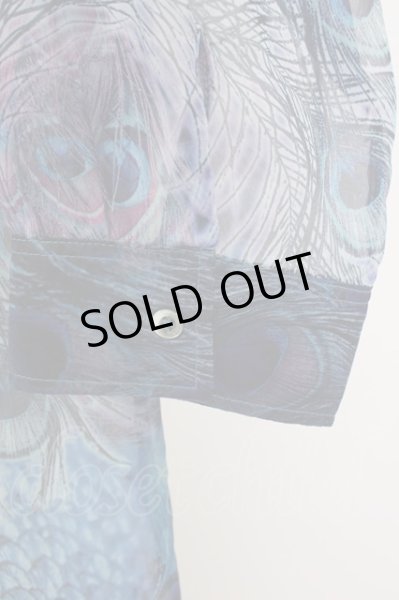 画像4: CIVARIZE / 透けシフォンピーコックロングシャツ 46 ブルー T-24-09-13-022-CI-sh-YM-ZT165 (4)