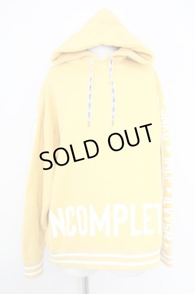 画像1: SNKD【REITA】 / BIG HOODIE 19　パーカー Special Limited Edition L マスタード T-24-10-08-006-SN-to-YM-ZT (1)