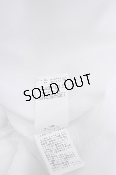 画像8: CIVARIZE / Conquest スタンドネックロングファーコート 48 ホワイト T-24-11-08-002-CI-ou-YM-ZT-M001 (8)