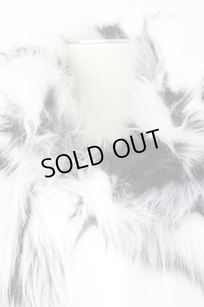 画像5: CIVARIZE / Insane ロングファーコート 46 ミックス T-24-12-10-007-CI-ou-YM-ZT (5)