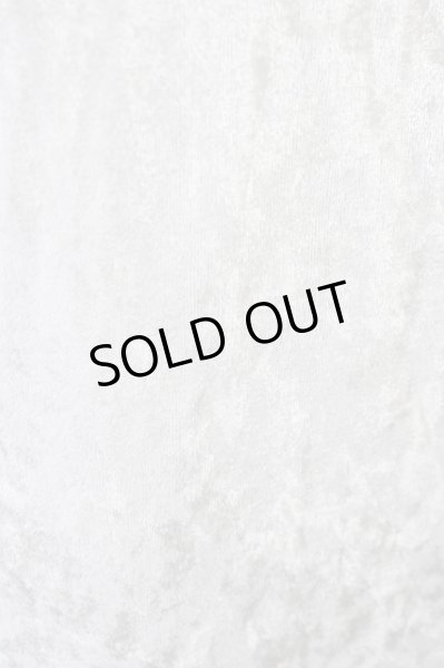 画像8: CIVARIZE / Aim3rdラインストーンベロア宇宙襟パーカー 46 ホワイト T-25-02-05-016-CI-to-YM-ZT (8)