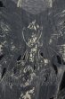 画像7: IFSIXWASNINE / BEDROCK-6/LSC Tシャツ 0（レディース） ブラック T-25-06-19-022-IF-ts-YM-ZT (7)