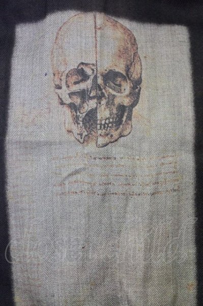 画像4: SHARE SPIRIT / スカルプリントストール  ダークブラウン T-25-07-17-027-SH-0-YM-ZT206 (4)