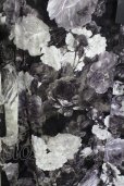 画像5: CIVARIZE / シースルーシフォンジャガードビッグローズシャツ F ブラック T-25-09-11-010-CI-sh-YM-ZT