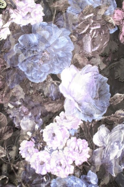 画像6: CIVARIZE / シースルーシフォンジャガードビッグローズシャツ F ブルー T-25-09-11-012-CI-sh-YM-ZT220 (6)