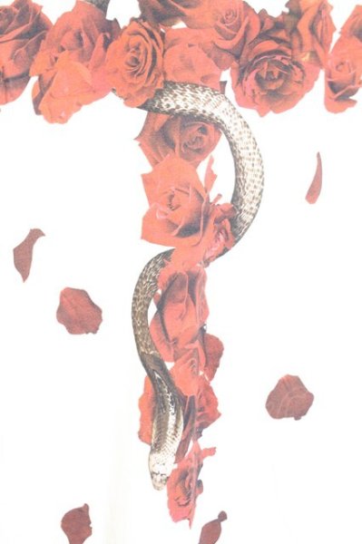 画像4: CIVARIZE / ボリュームネックカットソー F ホワイト T-25-09-25-025-CI-to-YM-ZT054 (4)