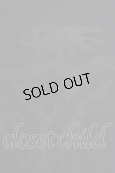 画像3: LGB / AMAZONICA PROJECT STAFF/HSC-CL/M Tシャツ【メンズ1】 1 ブラック T-25-09-25-008-LG-ts-YM-ZT (3)