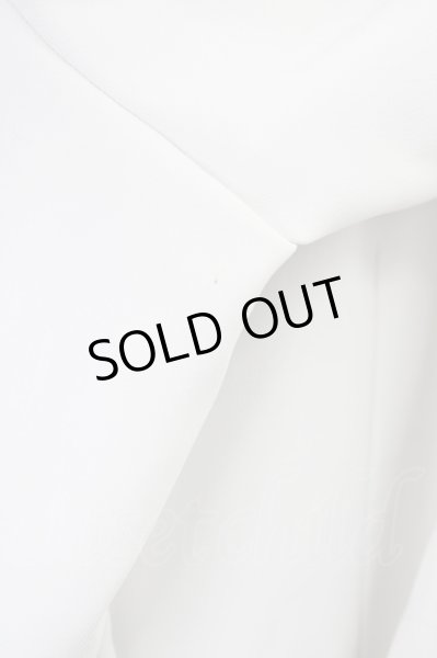 画像10: REGIEVO / １Bピークドジャケット M ホワイトｘブラック T-25-10-07-035-RE-ja-YM-ZT (10)