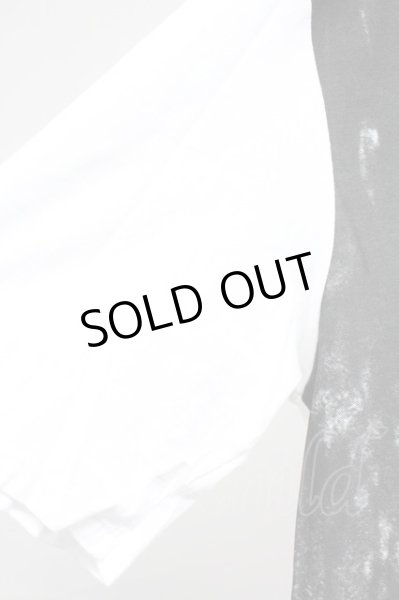 画像3: LAD MUSICIAN / フォトプリントTシャツ　シド・ヴィシャス 46 ホワイト T-25-11-10-003-LA-ts-YM-ZT102 (3)