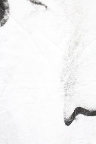 画像6: LAD MUSICIAN / フォトプリントTシャツ　ジョニー・ロットン 44 ホワイト T-25-11-10-004-LA-ts-YM-ZT (6)