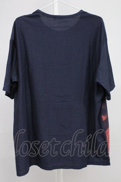 画像2: LAD MUSICIAN / フォトプリントTシャツ　シド・ヴィシャス 44 ブラックＸレッド T-25-11-10-013-LA-ts-YM-ZT (2)