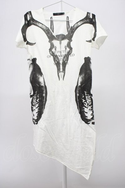 画像1: CIVARIZE / VarietyスカルプリントロングTシャツ 44 ホワイト T-25-12-10-008-CI-ts-YM-ZT (1)