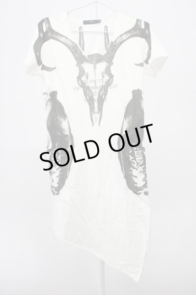 画像1: CIVARIZE / VarietyスカルプリントロングTシャツ 44 ホワイト T-25-12-10-008-CI-ts-YM-ZT078 (1)