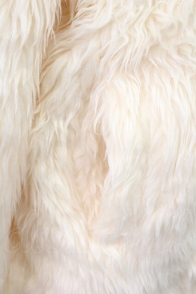 画像5: CavariA / フーデッドファーブルゾン 46 ホワイト T-25-12-12-017-Ca-ou-YM-ZT (5)