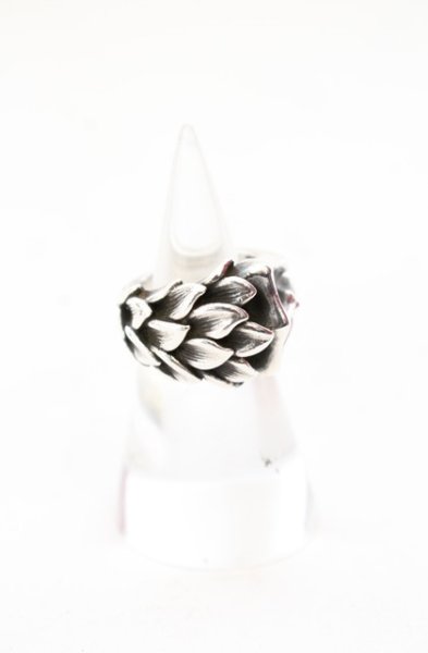 画像1: Bloody Mary / エンヴィーリング 9号 シルバー T-25-12-16-047-Bl-ac-YM-ZT (1)