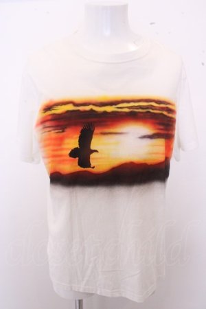 画像: 【SALE】BACKLASH Tシャツ.Hawk in the setting sun /ホワイト/M O-23-01-26-004-BA-ts-YM-ZT169