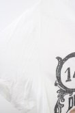 画像5: 【SALE】SHARE SPIRIT HOMME Tシャツ.サーカススカル T-23-03-17-005-SH-ts-KN-ZT440 (5)