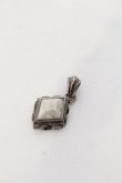 画像1: SNAKED LOWS / HIDE SNAKE ペンダントトップ  ホワイトｘシルバー O-24-08-11-045-SN-ac-YM-ZT413 (1)