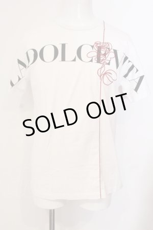 画像: BUFFALO BOBS / FILO ROSSAフラワー刺繍Tシャツ 2-3 ホワイト O-25-05-25-002-BU-ts-YM-ZT359